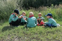 b40225c4-400b-497d-af56-ad547a9c343c